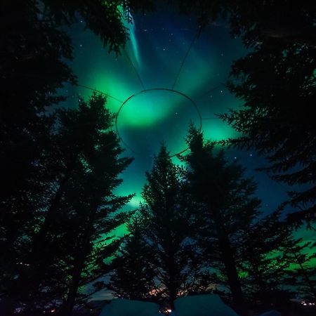 Buubble Hotel - Oelvisholt セルフォス エクステリア 写真