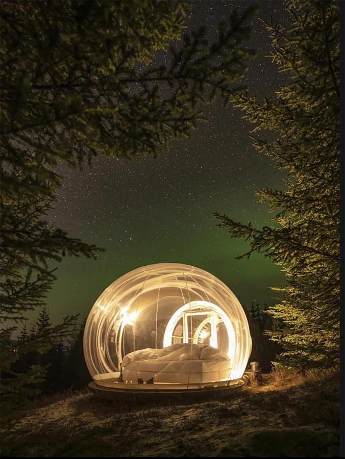 Buubble Hotel - Oelvisholt セルフォス エクステリア 写真
